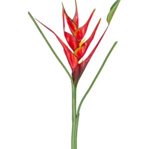 Die künstliche Blume Heliconia 90 cm rot besteht aus einer einzelnen künstlichen Heliconia-Blume mit leuchtend roten und gelben Hochblättern auf einem langen grünen Stiel, komplett mit schlanken Blättern, perfekt für die Präsentation vor einem weißen Hintergrund.