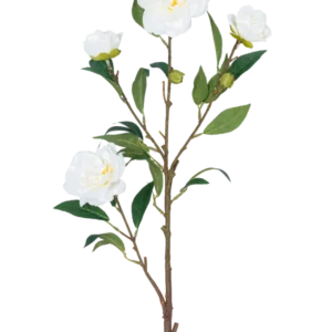 Die künstliche Blumenkamelie 80 cm weiß hat einen einzelnen braunen Stiel mit mehreren grünen Blättern und mehreren weißen Kamelienblüten, einige blühen und andere in Knospenform, alle vor einem schlichten weißen Hintergrund.
