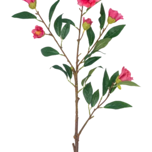 Die künstliche Blumenkamelie 80 cm rosa ist ein einzelner Stiel mit mehreren Zweigen, grünen Blättern und mehreren leuchtend rosa Blüten und Knospen, isoliert auf einem weißen Hintergrund.