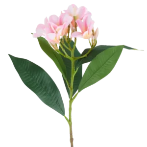 Eine 75 cm große künstliche Plumeria-Blume, rosa/cremefarben, mit einem Stiel, großen grünen Blättern und einem Büschel blassrosa Plumeria-Blüten an der Spitze, abgebildet vor einem weißen Hintergrund.