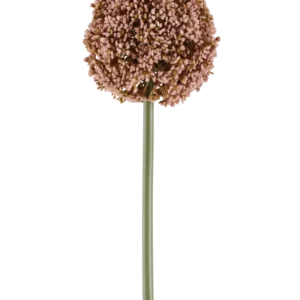 Eine einzelne künstliche Alliumblume von 75 cm in Lila mit einem langen grünen Stiel und einer großen, runden Gruppe kleiner lila Knospen, abgebildet auf einem weißen Hintergrund.