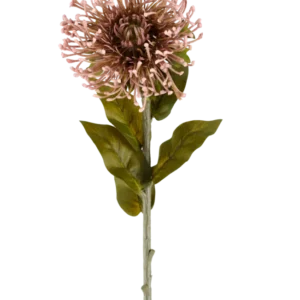 Die künstliche Blume Protea 65 cm lila ist eine einzelne künstliche Blume in Form einer Protea mit einem runden Cluster aus malvenfarbenen, spitzen Blütenblättern, grünen Blättern und einem langen Stiel, dargestellt vor einem schlichten weißen Hintergrund.