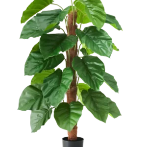 Eine künstliche Pflanze Epipremnum aureum, 120 cm hoch, mit großen, glänzend grünen Blättern in einem schwarzen Topf, dargestellt vor einem schlichten weißen Hintergrund.