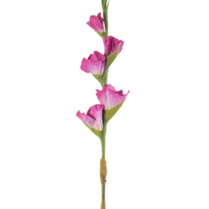 Ein einzelner Stiel der Kunstblume Gladiolus 83 cm Fuchsia hat vier leuchtend rosa Blüten auf einem grünen Stiel vor einem schlichten weißen Hintergrund.