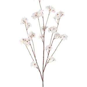 Die cremefarbene Kunstblume Kirschblüte 130 cm hat einen einzelnen braunen Stiel, der sich in mehrere dünne Stiele verzweigt, die jeweils mit Büscheln kleiner, zarter cremefarbener Kirschblütenblüten vor einem schlichten weißen Hintergrund verziert sind.