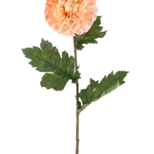 Die künstliche Blumen-Dahlie 75 cm Pfirsich hat eine pfirsichfarbene Dahlie mit geschichteten Blütenblättern und drei Büscheln gezackter grüner Blätter an einem langen Stiel, dargestellt vor einem weißen Hintergrund.
