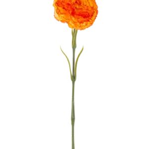 Die künstliche Blumennelke 57 cm orange ist eine künstliche orangefarbene Nelke mit Rüschen in den Blütenblättern und einem langen grünen Stiel, isoliert auf weißem Hintergrund.