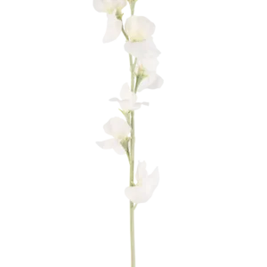 Eine einzelne cremefarbene künstliche Blumenerbse (64 cm) hat mehrere zarte cremeweiße Blüten auf hellgrünen Stielen vor einem schlichten weißen Hintergrund.