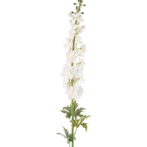 Die künstliche Blume Rittersporn 137 cm weiß ist ein hoher künstlicher Sporenstiel mit mehreren kleinen weißen Blüten entlang der Länge und grünen Blättern an der Basis vor einem schlichten weißen Hintergrund.