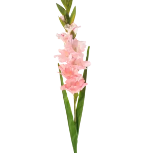 Die künstliche Gladiole 93 cm rosa hat einen einzelnen Stiel mit mehreren zartrosa Blüten und langen grünen Blättern, dargestellt vor einem weißen Hintergrund.
