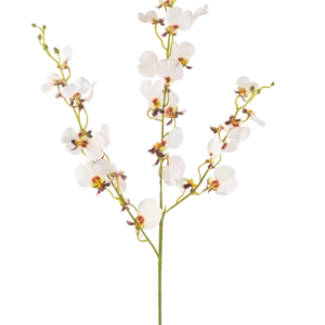 Die künstliche Blumenorchidee 98 cm creme ist ein einzelner künstlicher cremefarbener Orchideenstiel mit mehreren zarten Blüten und mehreren Knospen, mit gelben und violetten Zentren, isoliert auf einem schlichten weißen Hintergrund.