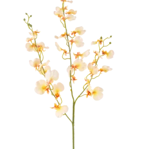 Die künstliche Blumenorchidee 98 cm hellgelb hat einen langen grünen Stiel mit mehreren Zweigen und zarten hellgelben Orchideen, jeweils mit einem zarten orangefarbenen und roten Herzen, alles vor einem weißen Hintergrund.