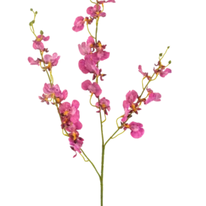 Die künstliche Blumenorchidee 98 cm in Fuchsia hat leuchtend rosa Orchideenblüten und -knospen an langen, schlanken grünen Stielen, die sich wunderschön vor einem weißen Hintergrund abheben.