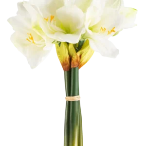 Die künstliche Blume Amaryllis Real Touch weiß 36 cm hat lebensechte weiße Amaryllisblüten mit hellgrüner Mitte und gelben Staubgefäßen, die mit einem beigen Band um grüne Stiele gebunden sind und sich perfekt vor einem schlichten weißen Hintergrund abheben.