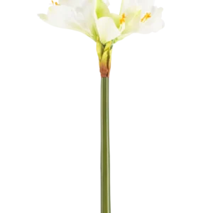 Die Kunstblume Amaryllis Real Touch weiß 66 cm hat einen hohen grünen Stiel mit einer Reihe großer weißer Amaryllisblüten an der Spitze vor einem schlichten weißen Hintergrund.