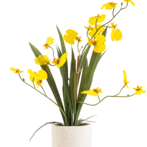 Das künstliche Oncidium Real Touch 48 cm gelb hat lange, schlanke Blätter und lange Stiele mit leuchtend gelben Orchideen in einem weißen Topf vor einem schlichten weißen Hintergrund.