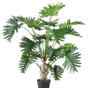 Die Kunstpflanze Philodendron 180 cm hat große, glänzende, tief gelappte grüne Blätter und ist vor einem schlichten weißen Hintergrund abgebildet.