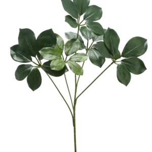 Der künstliche Zweig Schefflera 50 cm FR hat einen einzelnen Stiel mit mehreren Bündeln breiter, dunkelgrüner Blätter und einigen hellgrünen Blättern vor einem weißen Hintergrund.