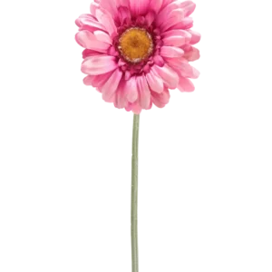 Die künstliche Blume Gerbera 53 cm dunkelrosa ist ein einzelnes dunkelrosa künstliches Gänseblümchen mit einem gelben Herzen auf einem langen grünen Stiel, isoliert auf einem weißen Hintergrund.