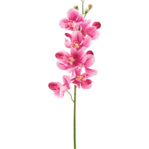 Vor einem schlichten weißen Hintergrund steht eine künstliche Blumenorchidee (55 cm) in Mauve mit mehreren leuchtend malvenrosa Blüten und Knospen.