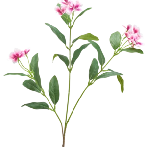 Vor einem schlichten weißen Hintergrund ist eine künstliche Catharanthus-Blume (68 cm) in Fuchsia/Creme mit langen, schlanken grünen Blättern und Büscheln fünfblättriger Blüten zu sehen.