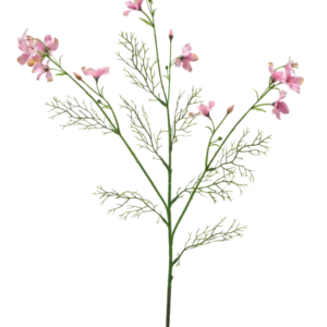 Die künstliche Blume Wildes Delphinium 71 cm hellrosa hat einen einzelnen grünen Stiel mit gefiederten Blättern und mehreren Büscheln zarter hellrosa Blüten vor einem schlichten weißen Hintergrund.