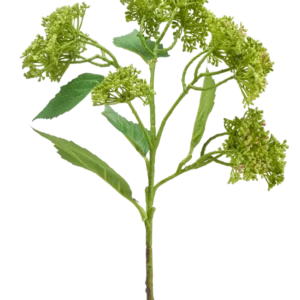 Eine künstliche Blumenhortensie 56 cm grün/rot mit einem grünen Stiel mit Büscheln kompakter grüner Knospen und länglichen Blättern, dargestellt vor einem weißen Hintergrund.