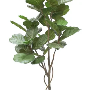 Ficus Lyrata Kunstpflanze 180cm