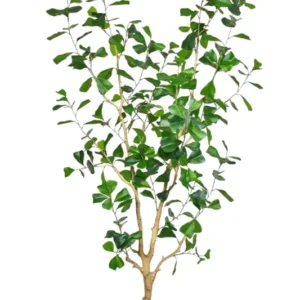 Ficus Triangularis Kunstpflanze 150cm