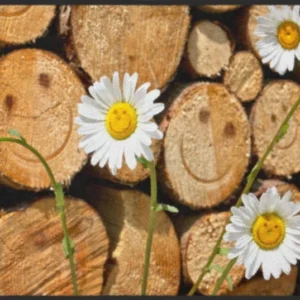 Fussmatte Individuell 4681 100 cm x 99.8 cm