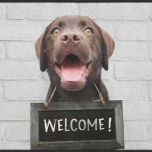 Fussmatte Individuell Welcome 10196 120 cm x 120 cm