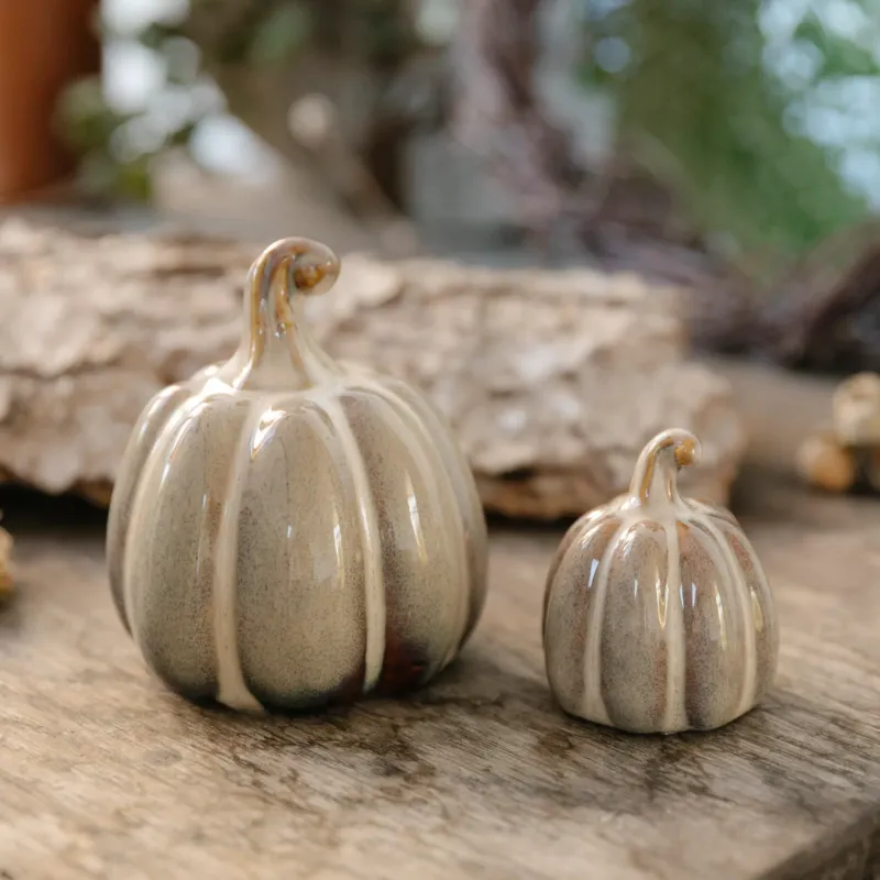 Kürbis Judy rund - beige melange