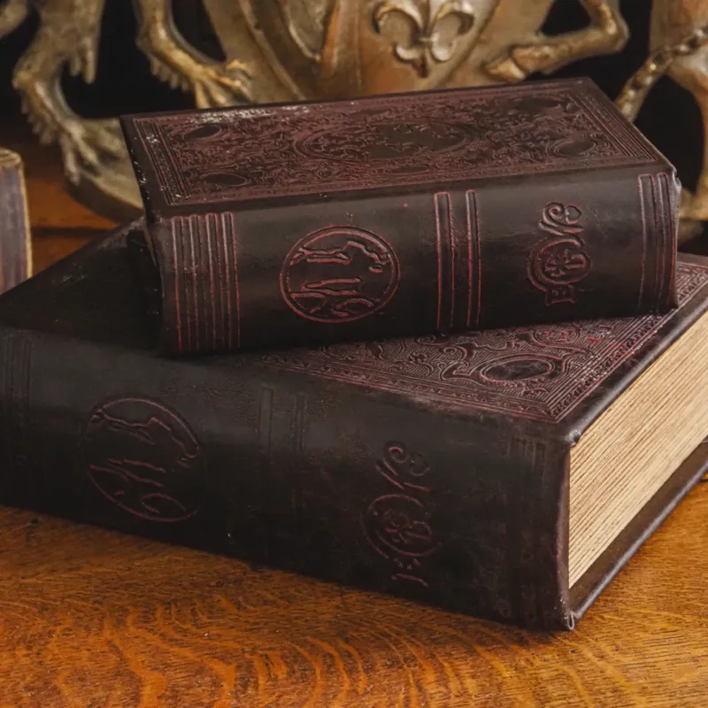 Dekoratives Buchset · Zwei Bände in Bordeaux mit Lederprägung, Historismus-Stil