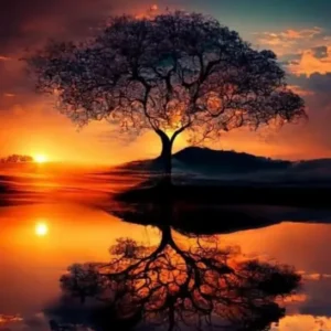 Diamond Painting Set Baum im Sonnenuntergang mit spiegelndem Wasser – meditatives Natur-Motiv für DIY-Kunstfans