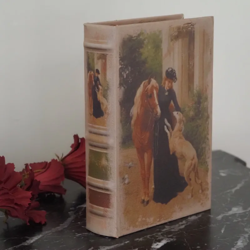 Aufbewahrungsbuch Dame · braun · dekorative Buchbox mit historischem Motiv
