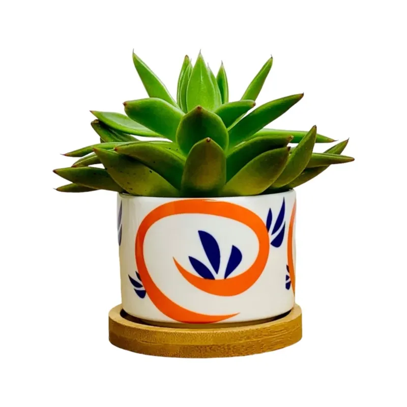 Mini-Blumentopf im japanischen Stil - Tokyo - mit Drainage-Loch, Ø 6,5 cm mit Untersetzer aus Bambus -KAKTOS