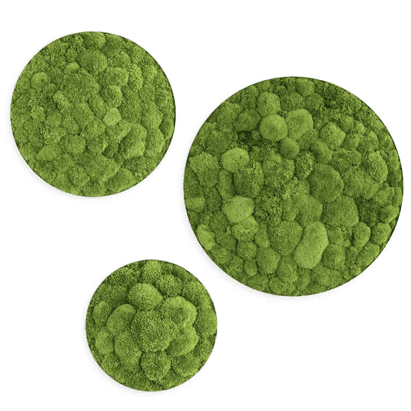 Moosbild ELLIPSOID Ballenmoos 3er Set Finestgreen [mc]
