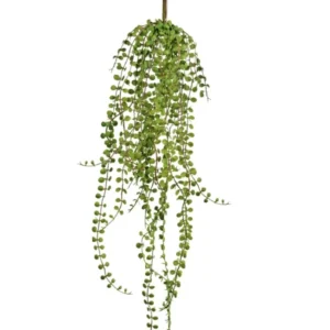 Die künstliche Hängepflanze Sukkulente 71 cm hat lange, hängende grüne Stängel mit kleinen, runden Blättern, die sich perfekt für die Präsentation vor einem weißen Hintergrund eignen.