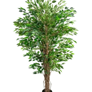 Die künstliche hawaiianische Ficus-Liane (150 cm) hat üppige grüne Blätter und mehrere gedrehte braune Stängel in einem kleinen schwarzen Topf vor einem schlichten weißen Hintergrund.