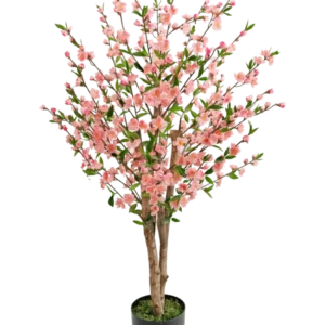Die künstliche Kirschblütenpflanze 120 cm rosa hat mehrere braune Stiele mit rosa Blüten und grünen Blättern, in einem schwarzen Topf mit grünem Moos an der Basis, vor einem weißen Hintergrund.
