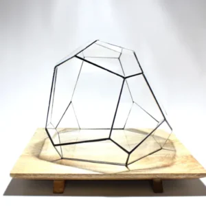 Geometric Terrarium - Torno - Vivarium - ↑ 28 x 26 x 24 cm (LxWxH) - Glass
