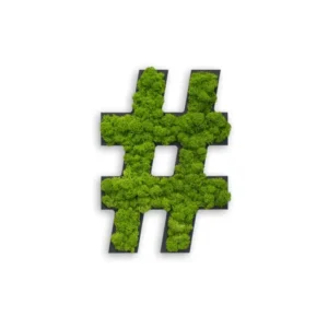 Islandmoos Piktogramm "Hashtag" Finestgreen [mc]