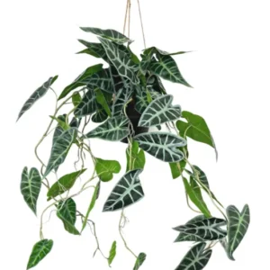 Caladium Kunst Hangplant 95cm