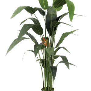 Strelitzia Kunstplant Met Bloem 160cm