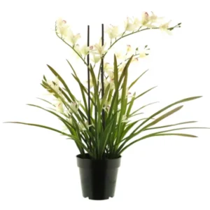 Künstliche Meadow Orchidee Creme Weiß 70 cm