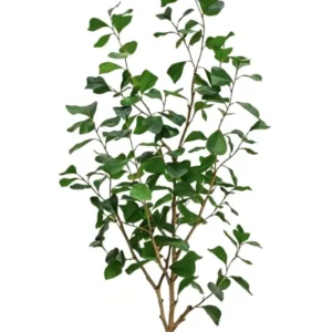 Ficus Triangularis Kunstpflanze 120cm