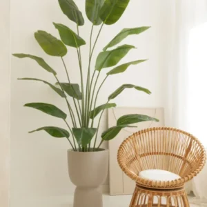 Bananenstaude Kunstpflanze 210cm
