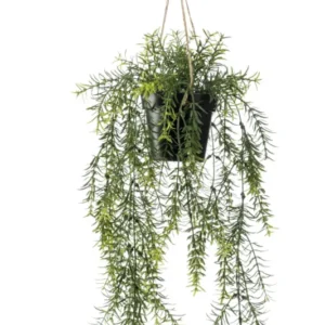 Asparagus kunst hangplant 50cm