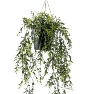 Buxus Kunst Hangplant 50cm