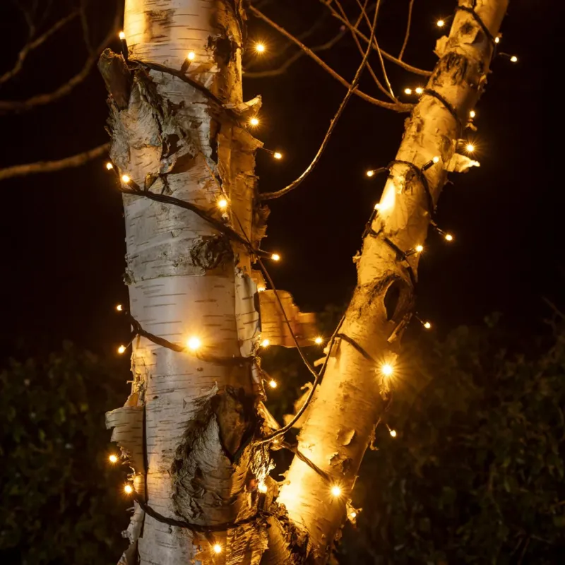 Pro Connect IP67, 5m 50er LED Lichterkette gold warmweiß koppelbar schwarzes Kabel